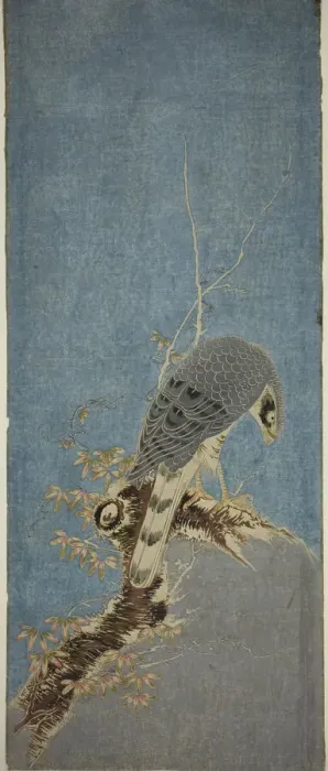 Framed Print : Falcon Perched on a Tree, c. 1785. Creator: Isoda Koryusai Framed Print : Falcon Perched on a Tree, c. 1785. Creator: Isoda Koryusai
