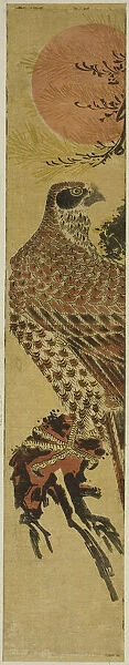 Falcon at Sunrise, c. 1775. Creator: Isoda Koryusai