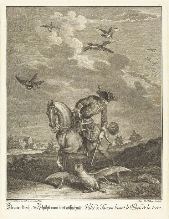 Framed Print : Falconeer Lifting an Owl from the Ground. Creator: Johann Elias Ridinger Framed Print : Falconeer Lifting an Owl from the Ground. Creator: Johann Elias Ridinger