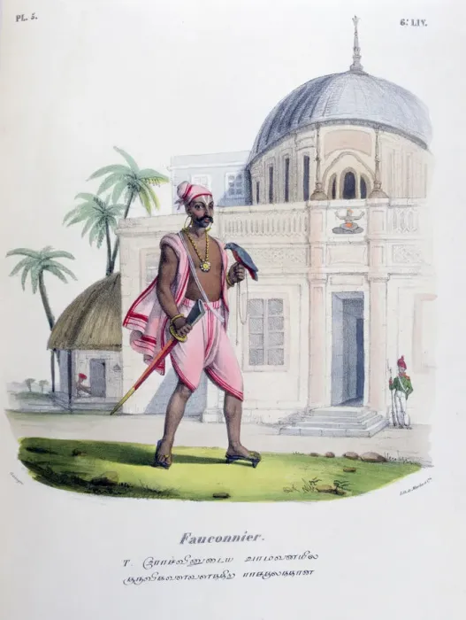 Framed Print : Falconer, 1828. Artist: Marlet et Cie Framed Print : Falconer, 1828. Artist: Marlet et Cie
