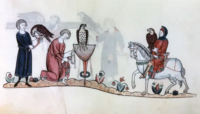 Framed Print : Falconers with their birds, 13th century Framed Print : Falconers with their birds, 13th century