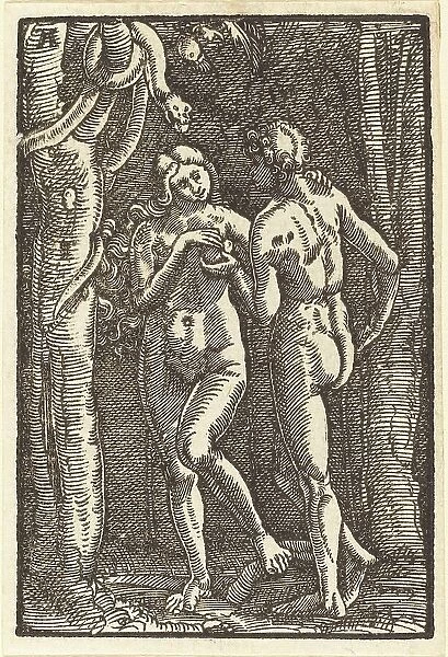 The Fall of Man, c. 1513. Creator: Albrecht Altdorfer