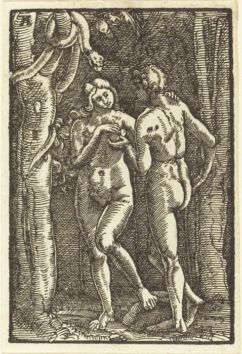 Framed Print : The Fall of Man, c. 1513. Creator: Albrecht Altdorfer Framed Print : The Fall of Man, c. 1513. Creator: Albrecht Altdorfer