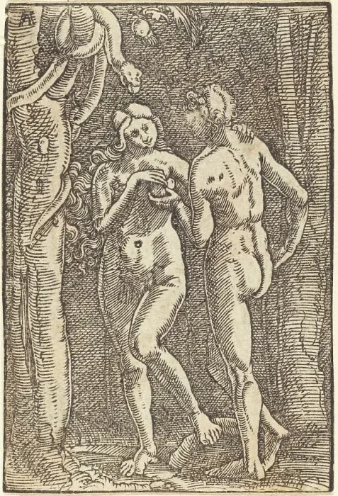 Framed Print : The Fall of Man, c. 1513. Creator: Albrecht Altdorfer Framed Print : The Fall of Man, c. 1513. Creator: Albrecht Altdorfer