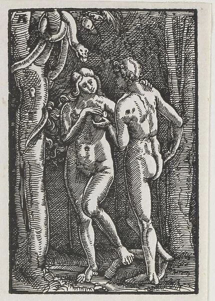 The Fall and Redemption of Man: Adam and Eve Eating the Forbidden Fruit, c. 1513. Creator