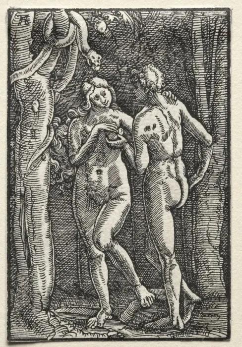 Framed Print : The Fall and Redemption of Man: Adam and Eve Eating the Forbidden Fruit, c. 1515. Creator Framed Print : The Fall and Redemption of Man: Adam and Eve Eating the Forbidden Fruit, c. 1515. Creator