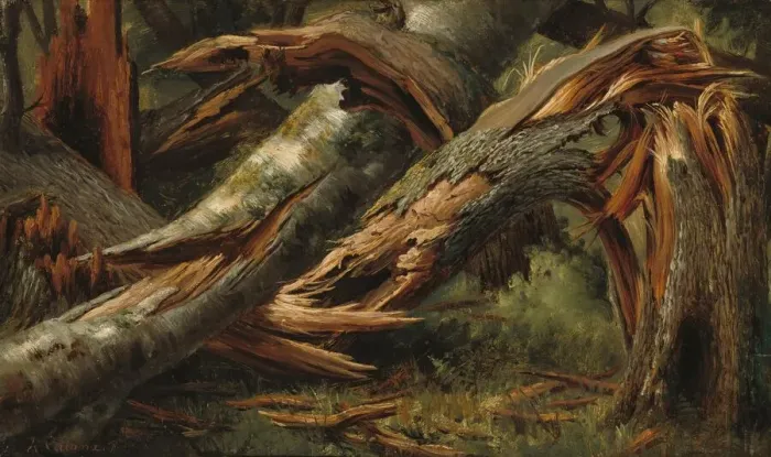 Framed Print : Fallen Tree, 1839 / 1845. Creator: Alexandre Calame Framed Print : Fallen Tree, 1839 / 1845. Creator: Alexandre Calame