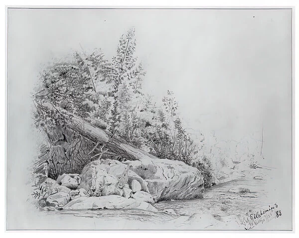 Fallen Tree, Keene Valley, July 25, 1883. Creator: Louis Michel Eilshemius