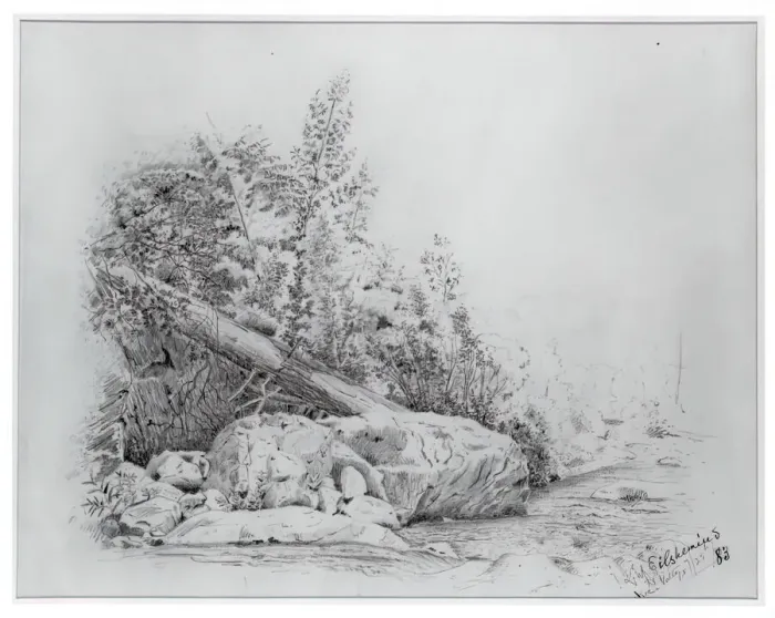 Framed Print : Fallen Tree, Keene Valley, July 25, 1883. Creator: Louis Michel Eilshemius