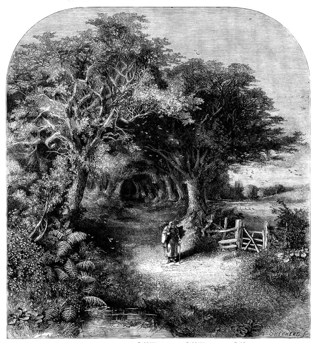 Framed Print : Falling Leaves, 1858. Creator: H. Shepherd Framed Print : Falling Leaves, 1858. Creator: H. Shepherd