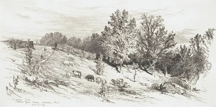 Framed Print : A Fallow Field, 1883. Creator: James David Smillie Framed Print : A Fallow Field, 1883. Creator: James David Smillie
