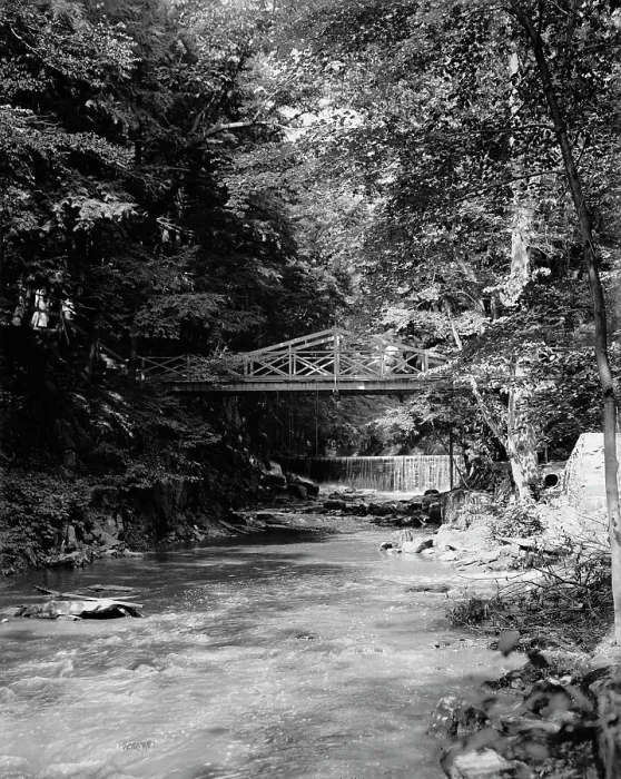 Framed Print : The Falls, Bronx Park, New York, N.Y. between 1895 and 1910. Creator: Unknown Framed Print : The Falls, Bronx Park, New York, N.Y. between 1895 and 1910. Creator: Unknown