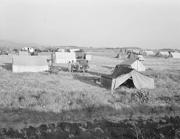 Families camped on flat before season opens waiting... near Merrill, Klamath County, Oregon, 1939. Creator: Dorothea Lange