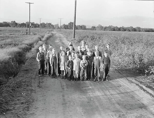 Ten families established by the FSA on the... Tulare County, CA, 1938. Creator: Dorothea Lange