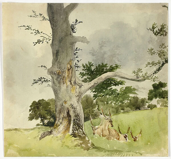 Family of Deer under a Tree, 1790-1844. Creator: Robert Hills