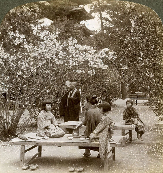 A family enjoying a picnic under the cherry blossoms, Omuro Gosho, Kyoto, Japan, 1904. Artist: Underwood & Underwood