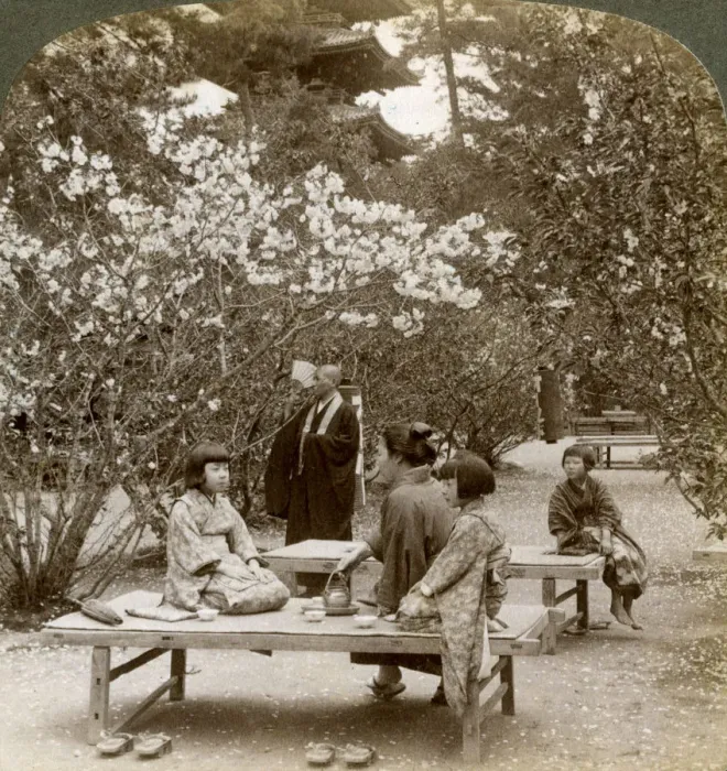 Framed Print : A family enjoying a picnic under the cherry blossoms, Omuro Gosho, Kyoto, Japan, 1904. Artist: Underwood & Underwood Framed Print : A family enjoying a picnic under the cherry blossoms, Omuro Gosho, Kyoto, Japan, 1904. Artist: Underwood & Underwood