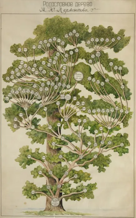 Framed Print : The family tree of Mikhail Lermontov, 1930s. Artist: Anonymous Framed Print : The family tree of Mikhail Lermontov, 1930s. Artist: Anonymous