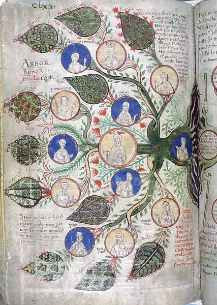 Family tree, a page from Liber Floridus, 12th century