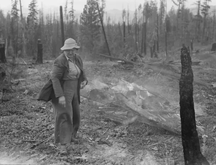 Framed Print : Family work clearing land by burning, near Bonners Ferry, Boundary County, Idaho, 1939. Creator: Dorothea Lange Framed Print : Family work clearing land by burning, near Bonners Ferry, Boundary County, Idaho, 1939. Creator: Dorothea Lange