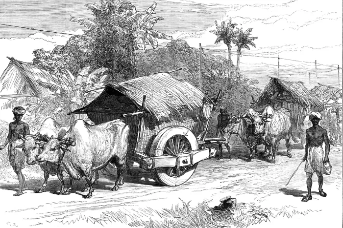 Framed Print : The Famine in Bengal: bullock hackeries for carrying grain, 1874. Creator: Unknown