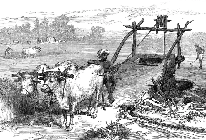 Framed Print : The Famine in Bengal: Indian mode of irrigation, 1874. Creator: Unknown Framed Print : The Famine in Bengal: Indian mode of irrigation, 1874. Creator: Unknown
