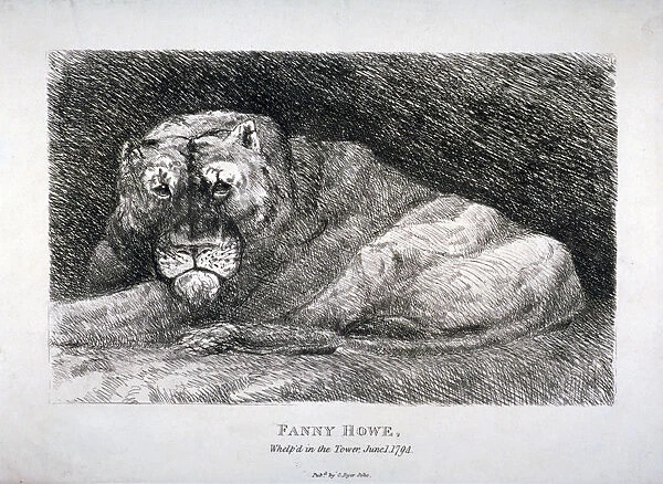 Fanny Howe, whelp d in the Tower, 1794