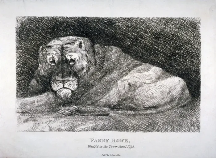 Framed Print : Fanny Howe, whelp d in the Tower, 1794 Framed Print : Fanny Howe, whelp d in the Tower, 1794