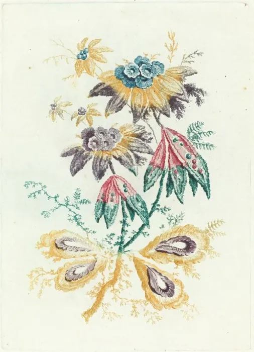 Framed Print : Fantastic Flowers with Peapod Leaves, 1795. Creator: Anne Allen Framed Print : Fantastic Flowers with Peapod Leaves, 1795. Creator: Anne Allen