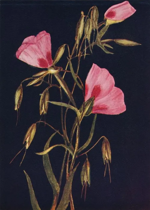 Framed Print : Farewell to Spring, c1915, (1915). Artist: Emma Graham Clock Framed Print : Farewell to Spring, c1915, (1915). Artist: Emma Graham Clock