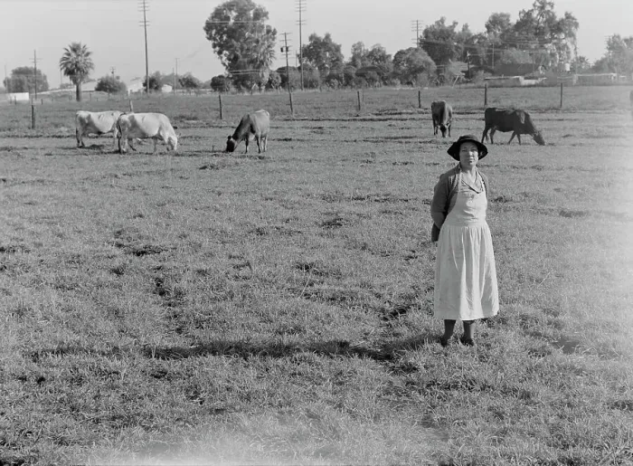 Framed Print : This farm of twelve acres operated as a prune ranch, Tulare County, California, 1938. Creator: Dorothea Lange