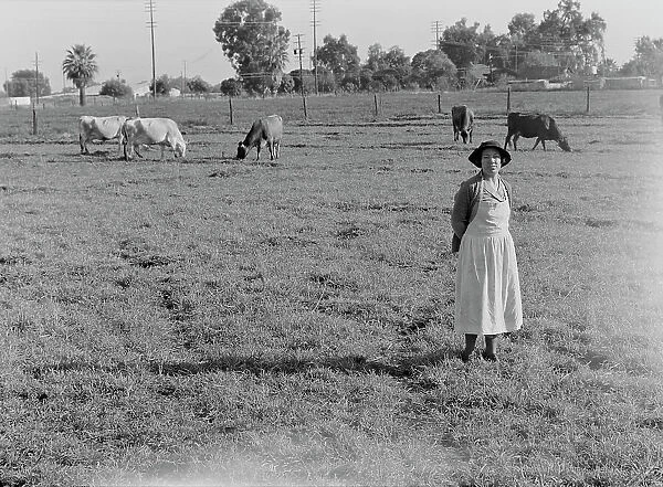 This farm of twelve acres operated as a prune ranch, Tulare County, California, 1938. Creator: Dorothea Lange
