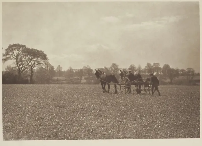 Framed Print : On the farm. From the album: Photograph album - England, 1920s. Creator: Harry Moult Framed Print : On the farm. From the album: Photograph album - England, 1920s. Creator: Harry Moult