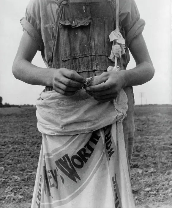 Framed Print : Farm boy with sack full of boll weevils...off of cotton plants, Macon County, Georgia, 1937. Creator: Dorothea Lange Framed Print : Farm boy with sack full of boll weevils...off of cotton plants, Macon County, Georgia, 1937. Creator: Dorothea Lange