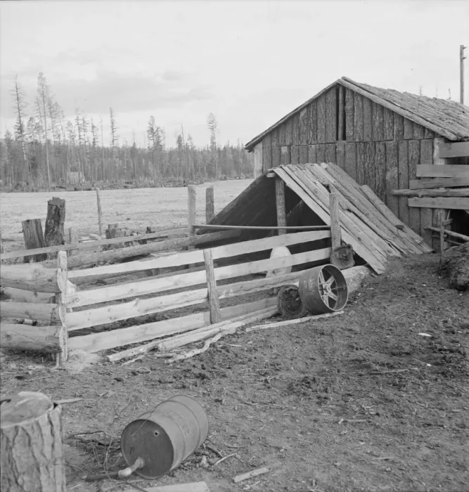 Framed Print : Farm buildings, slab construction, on new stump farm. Boundary County, Idaho, 1939. Creator: Dorothea Lange