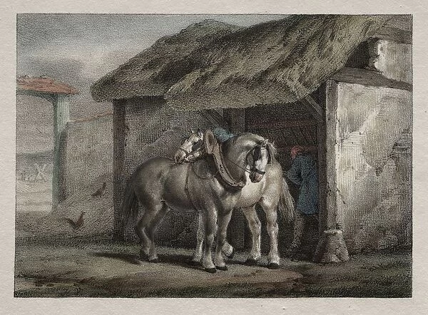 Farm Horse. Creator: Horace Vernet (French, 1789-1863)