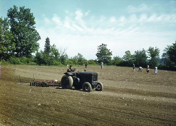 Farm owned by James Pompey, who 20 years ago came from Italy... Southington, Connecticut, 1942. Creator: Charles Fenno Jacobs