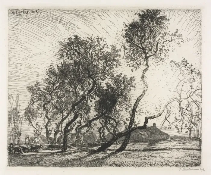 Framed Print : Farm with Poplar Trees of Holland, 1914. Creator: Auguste Louis Lepere (French, 1849-1918) Framed Print : Farm with Poplar Trees of Holland, 1914. Creator: Auguste Louis Lepere (French, 1849-1918)