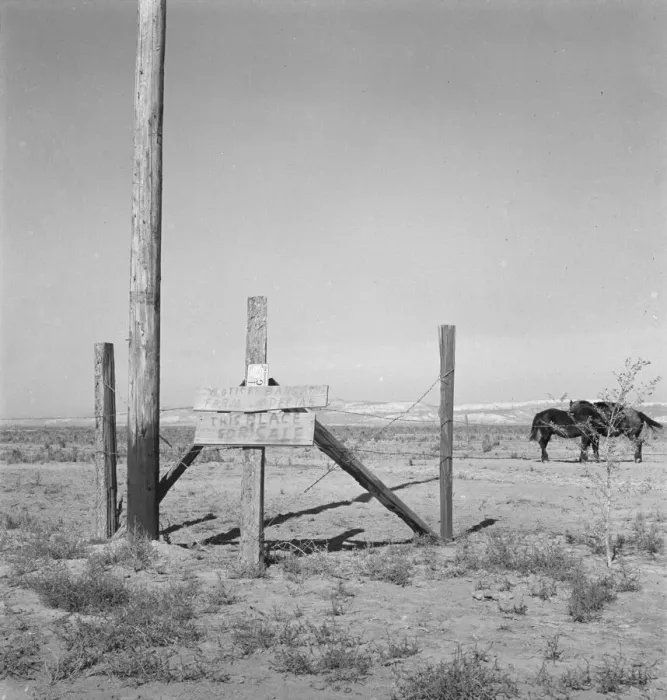 Framed Print : Farm for sale, Willow Creek area, Malheur County, Oregon, 1939. Creator: Dorothea Lange Framed Print : Farm for sale, Willow Creek area, Malheur County, Oregon, 1939. Creator: Dorothea Lange
