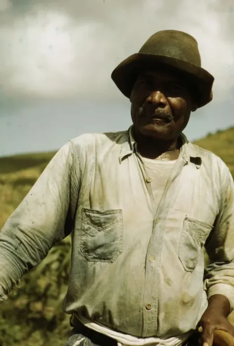 Framed Print : Farm Security Administration borrower, vicinity of Frederiksted, St. Croix, Virgin Islands, 1941. Creator: Jack Delano Framed Print : Farm Security Administration borrower, vicinity of Frederiksted, St. Croix, Virgin Islands, 1941. Creator: Jack Delano
