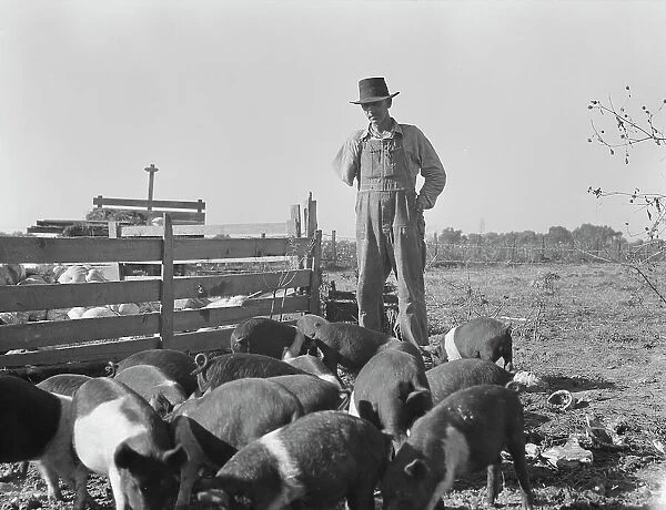 Farm Security Administration (FSA) rural rehabilitation client, Tulare County, California, 1938. Creator: Dorothea Lange