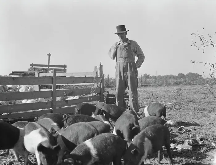Framed Print : Farm Security Administration (FSA) rural rehabilitation client, Tulare County, California, 1938. Creator: Dorothea Lange Framed Print : Farm Security Administration (FSA) rural rehabilitation client, Tulare County, California, 1938. Creator: Dorothea Lange