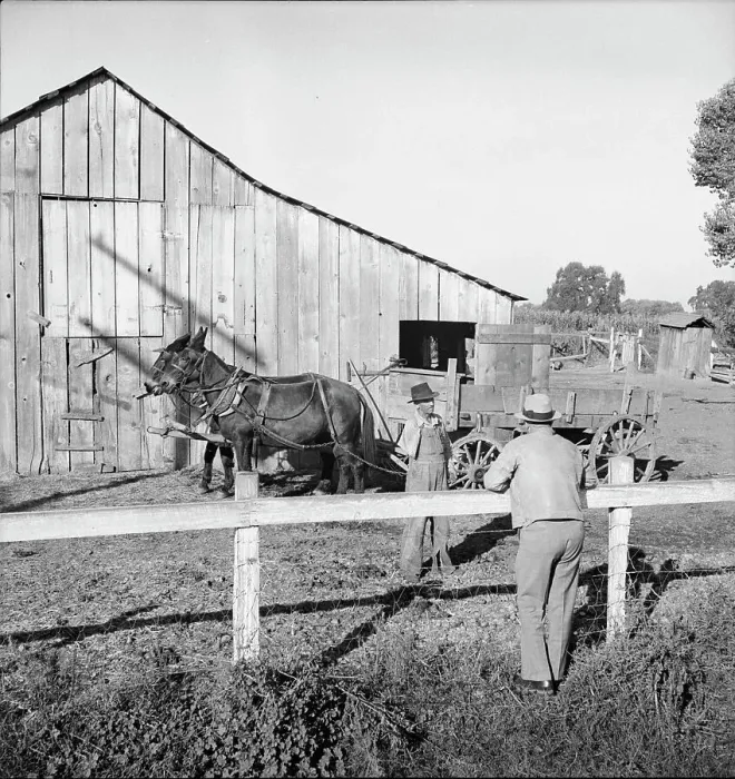 Framed Print : Farm Security Administration rural rehabilitation client, Tulare County, California, 1938. Creator: Dorothea Lange Framed Print : Farm Security Administration rural rehabilitation client, Tulare County, California, 1938. Creator: Dorothea Lange
