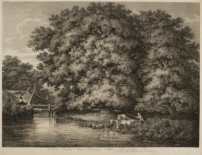 Framed Print : A Farmer Driving his Cattle into the Water, 1780. Creator: Johann Christian Reinhart Framed Print : A Farmer Driving his Cattle into the Water, 1780. Creator: Johann Christian Reinhart