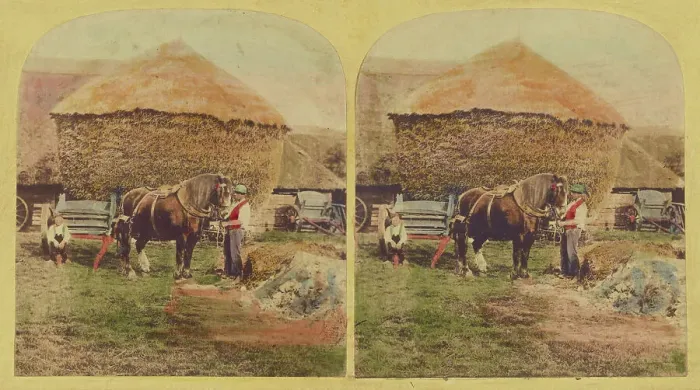 Framed Print : Farmer holding horse, large haystack in background, about 1860. Creator: Unknown Framed Print : Farmer holding horse, large haystack in background, about 1860. Creator: Unknown