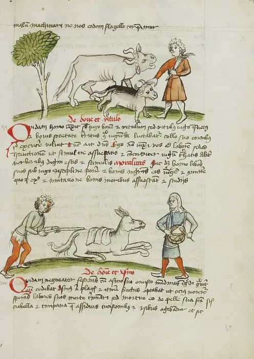 Framed Print : A Farmer with an Ox and Calf: A Man Hitting a Donkey: A Man... third quarter of 15th century. Creator: Unknown Framed Print : A Farmer with an Ox and Calf: A Man Hitting a Donkey: A Man... third quarter of 15th century. Creator: Unknown