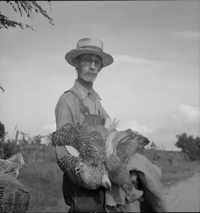 Framed Print : Farmer who has just moved into impoverished Greene County, Georgia from the Georgia hills, 1937. Creator: Dorothea Lange