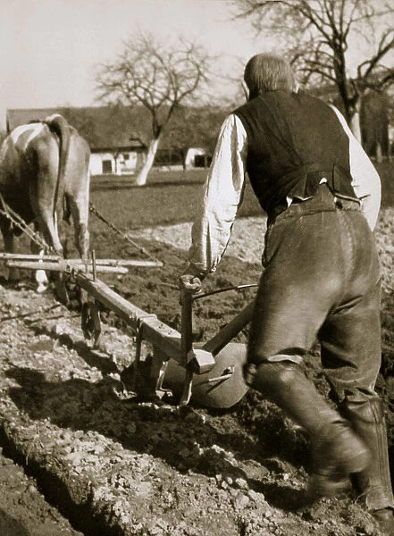 A farmer at work, ploughing a field, Germany, 1936