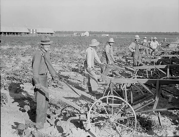 Farmers about to begin cooperative cultivation of cotton at Lake Dick project, Arkansas, 1938. Creator: Dorothea Lange