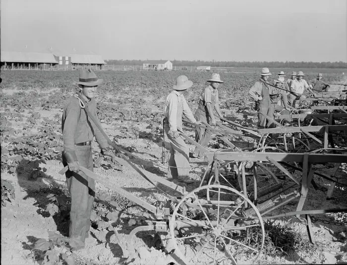 Framed Print : Farmers about to begin cooperative cultivation of cotton at Lake Dick project, Arkansas, 1938. Creator: Dorothea Lange Framed Print : Farmers about to begin cooperative cultivation of cotton at Lake Dick project, Arkansas, 1938. Creator: Dorothea Lange